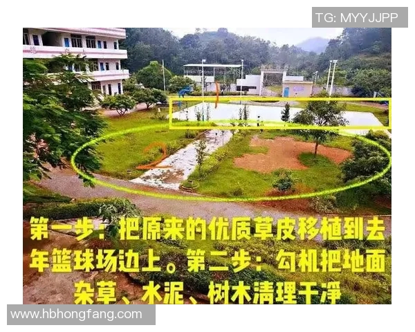 田亮的故乡揭秘 他到底是哪里人从家乡到足球场的传奇故事 田亮的故乡揭秘 他到底是哪里人从家乡到足球场的传奇故事