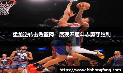南宫NG·28体育