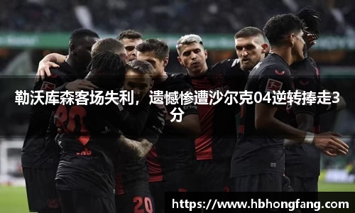 勒沃库森客场失利，遗憾惨遭沙尔克04逆转捧走3分