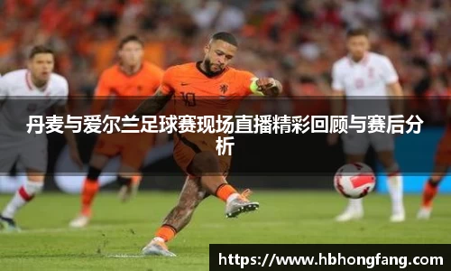 丹麦与爱尔兰足球赛现场直播精彩回顾与赛后分析