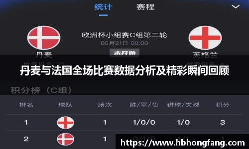 丹麦与法国全场比赛数据分析及精彩瞬间回顾